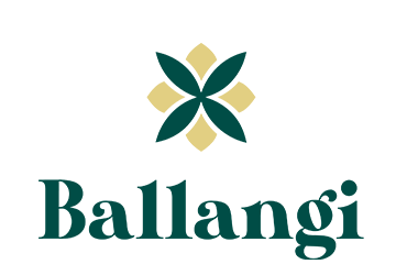 logo BALLANGI S.R.L.